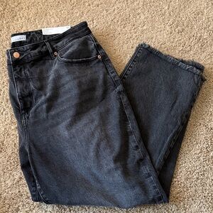 NWT Loft The Straight Crop High Rise Curvy Fit Jeans, Size 32 / 14